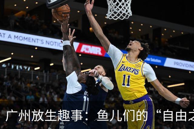 广州放生趣事：鱼儿们的“自由之旅”与监管的“无形手